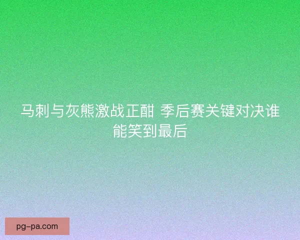 马刺与灰熊激战正酣 季后赛关键对决谁能笑到最后